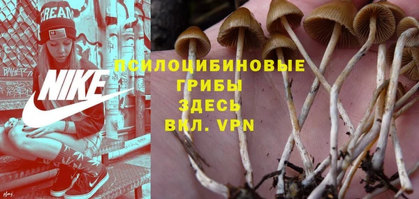 а пвп мука Алзамай