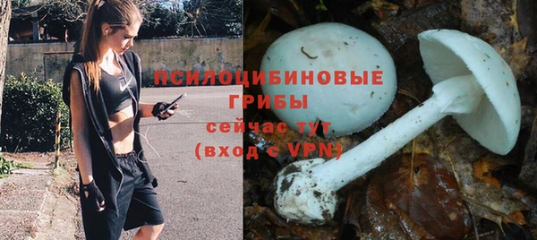mdpv Алексеевка