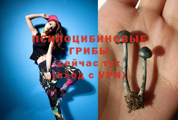 а пвп мука Алзамай