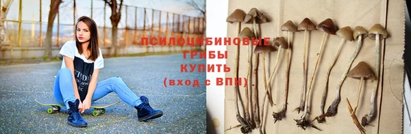 амф Алексин