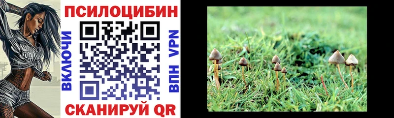 OMG как войти Чкаловск Галлюциногенные грибы мицелий купить закладку